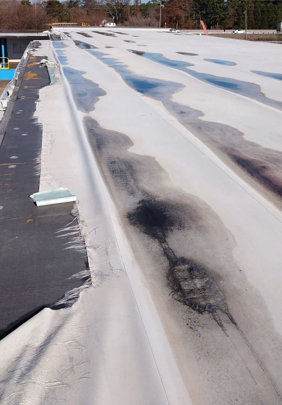 Commercial Ponding Water Roof Repair in Elgin, IL
