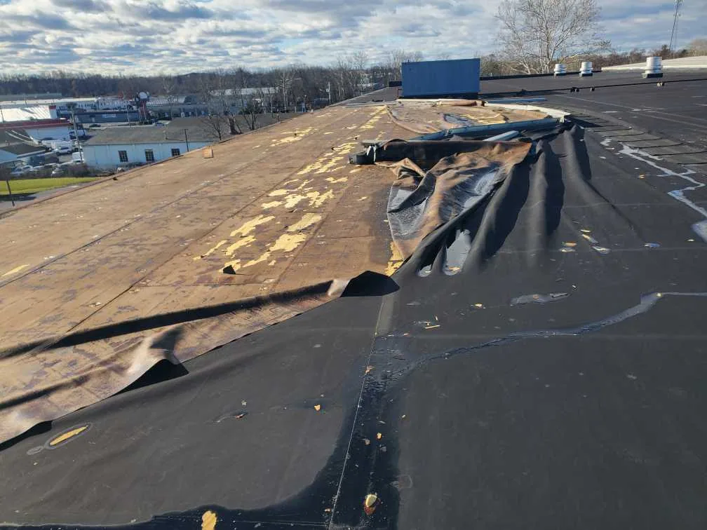Roof damage repair in Elgin, IL
