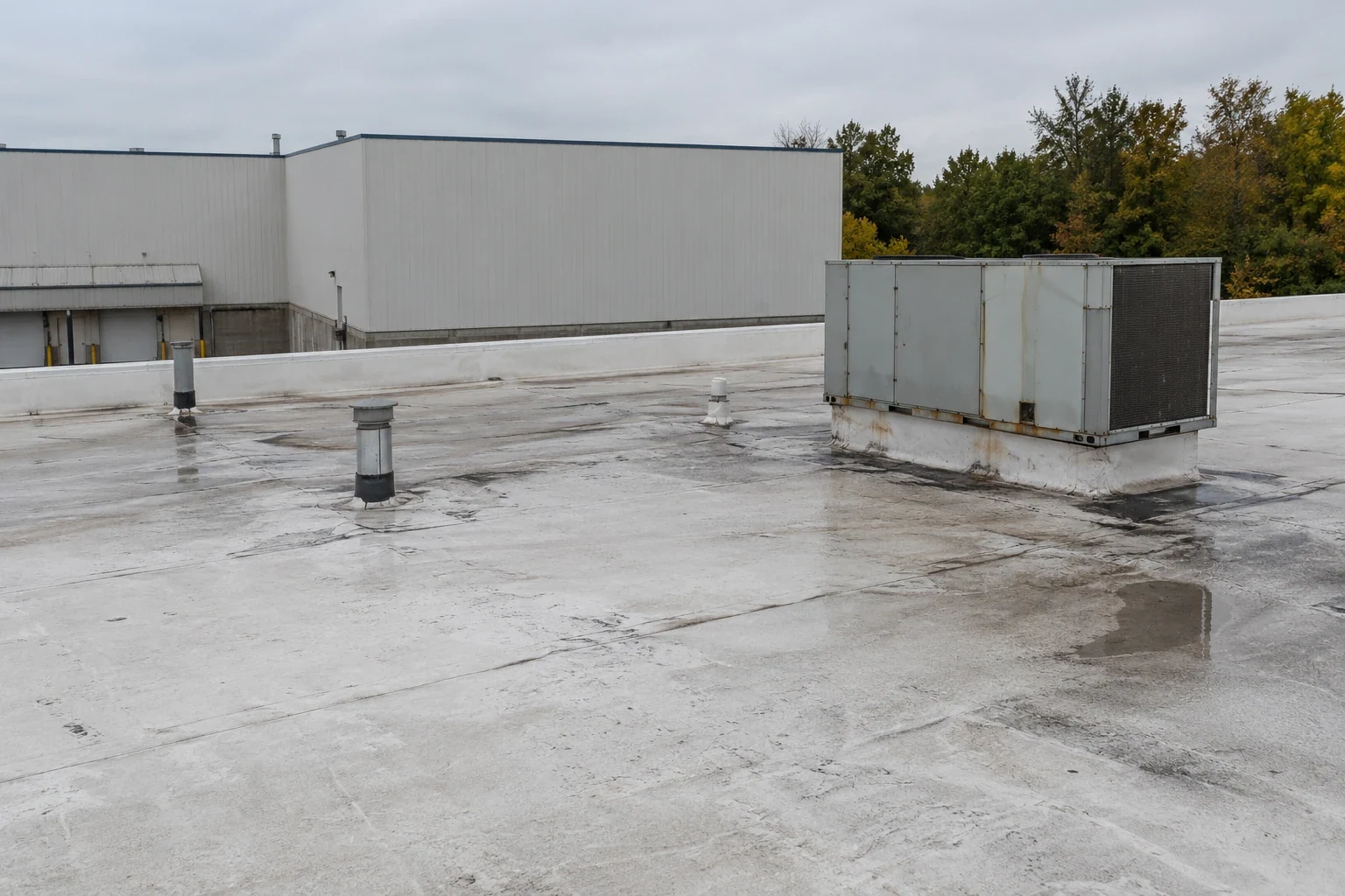 Cold Storage Commercial Roofing in Elgin, IL
