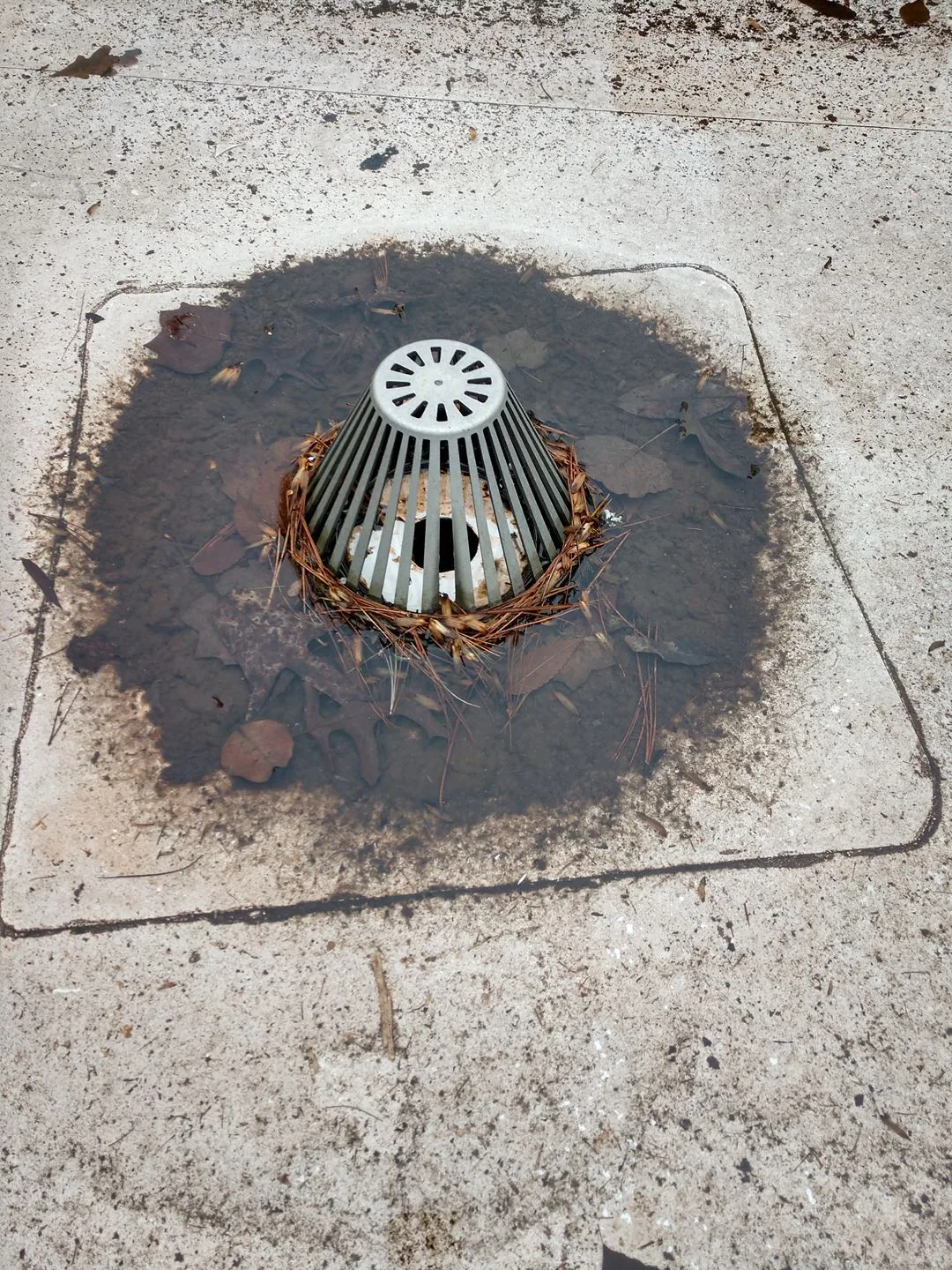 Commercial Roof Drains and Scuppers in Elgin, IL